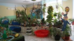 Зимний сад: стол, этажерка, комнатные растения, инвентарь для ухода за растениями многое другое